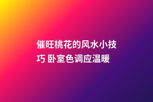 催旺桃花的风水小技巧 卧室色调应温暖